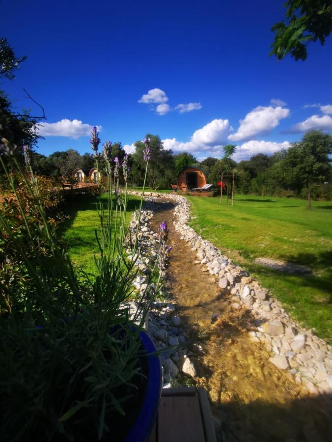 Camping Les Pres Du Roi Sommieres Luaran gambar
