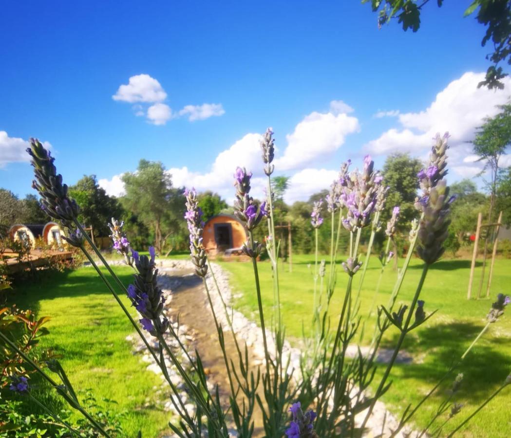 Camping Les Pres Du Roi Sommieres Luaran gambar